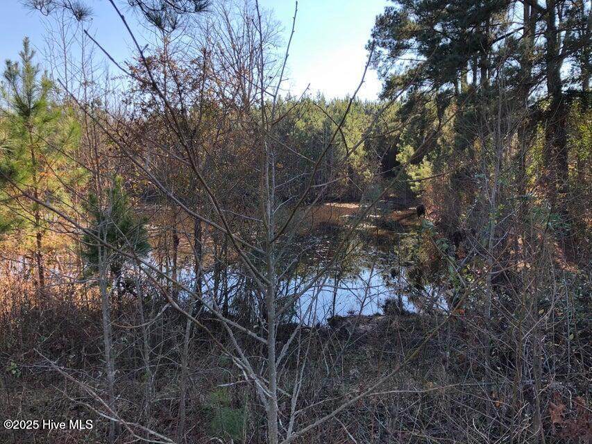316 Old Cheraw Highway - Photo 1