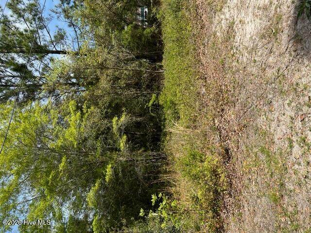 1774 Balsam Drive - Photo 1