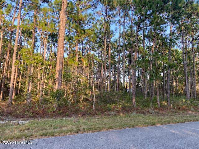 23 Lexington Road - Photo 1