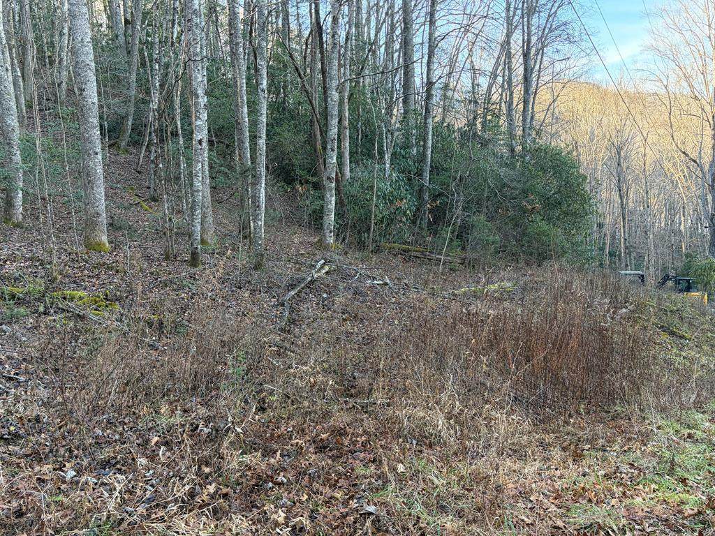 00 Choga Trail - Photo 1