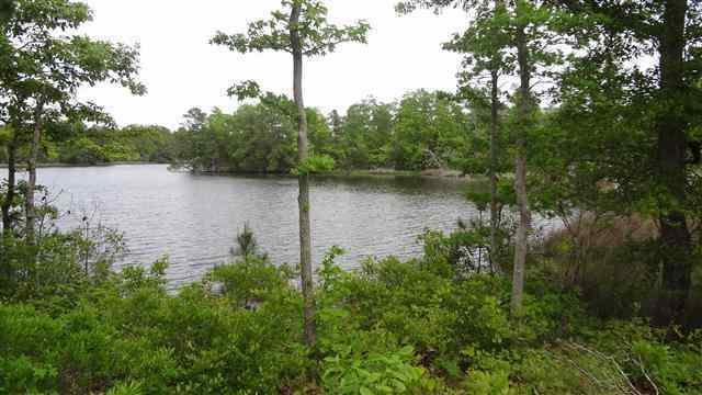 263 Everett Yopp Drive, Sneads Ferry, NC 28460 (MLS #80143119) :: Century 21 Sweyer & Associates