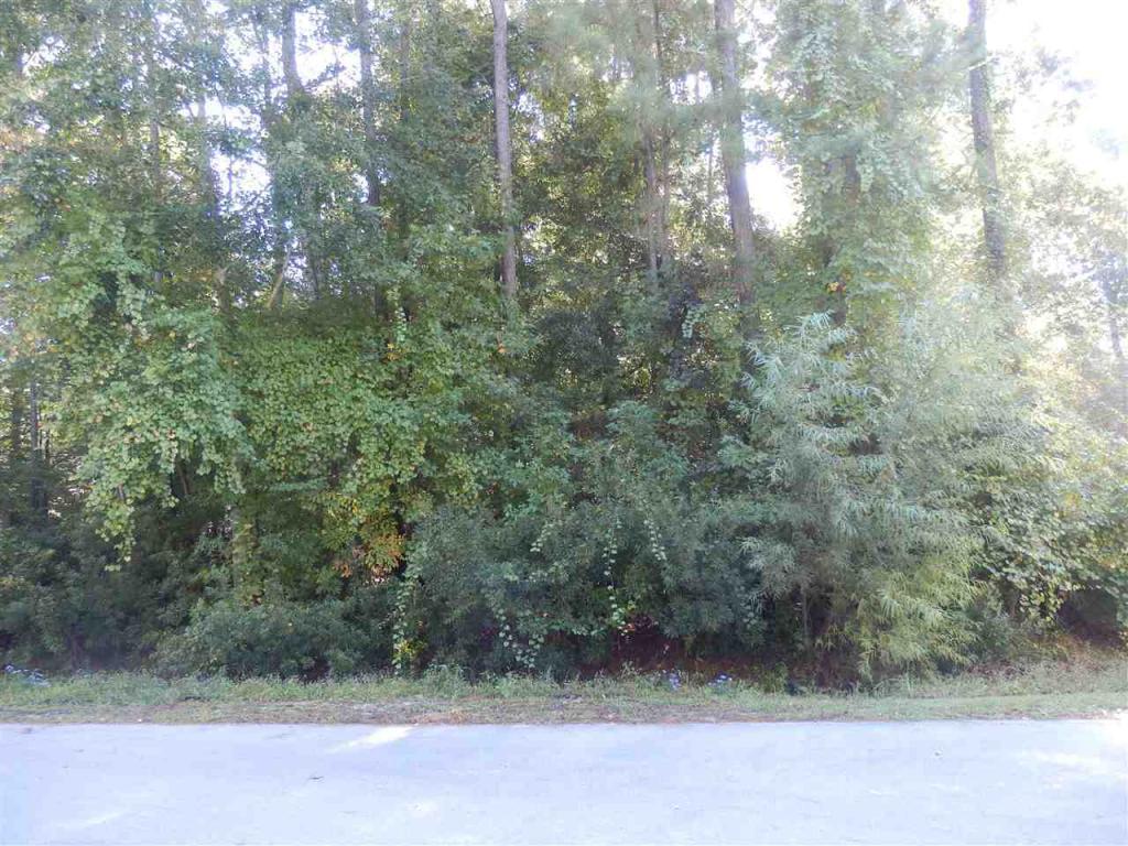 1010 Beech Tree Road, Jacksonville, NC 28546 (MLS #80171572) :: Century 21 Sweyer & Associates