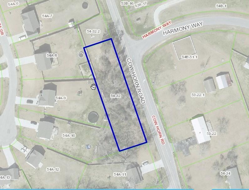 295 Cow Horn Road - Photo 1