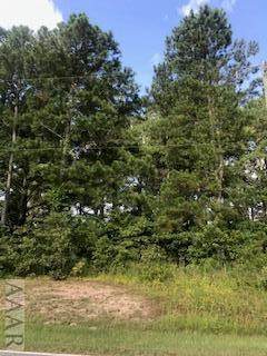TBD Breezy Banks Road - Photo 1