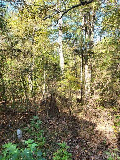 497R Woodland Trail - Photo 1