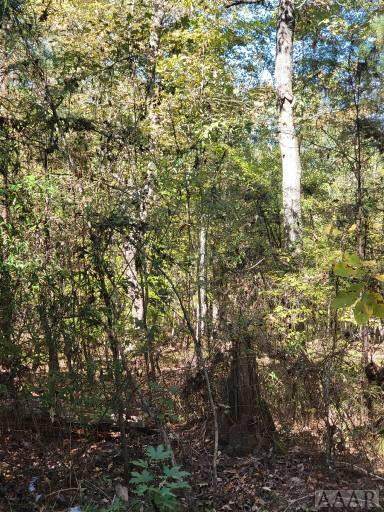 45O Oak Ridge - Photo 1