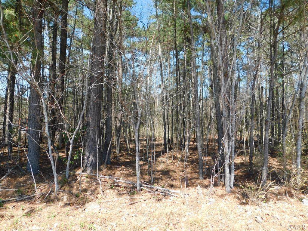 Tbd Gatling Road - Photo 1