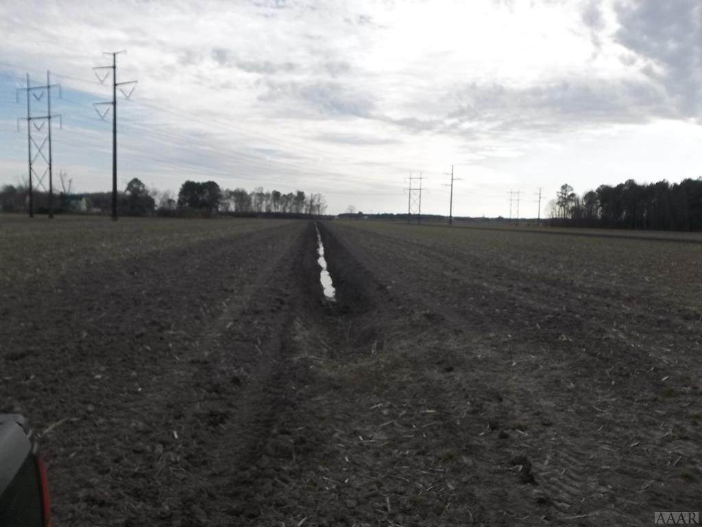 TBD Sanderlin Road - Photo 1