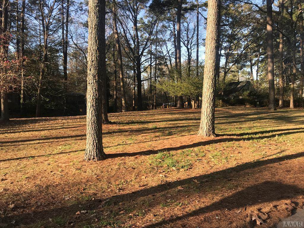 000 Dogwood Drive - Photo 1