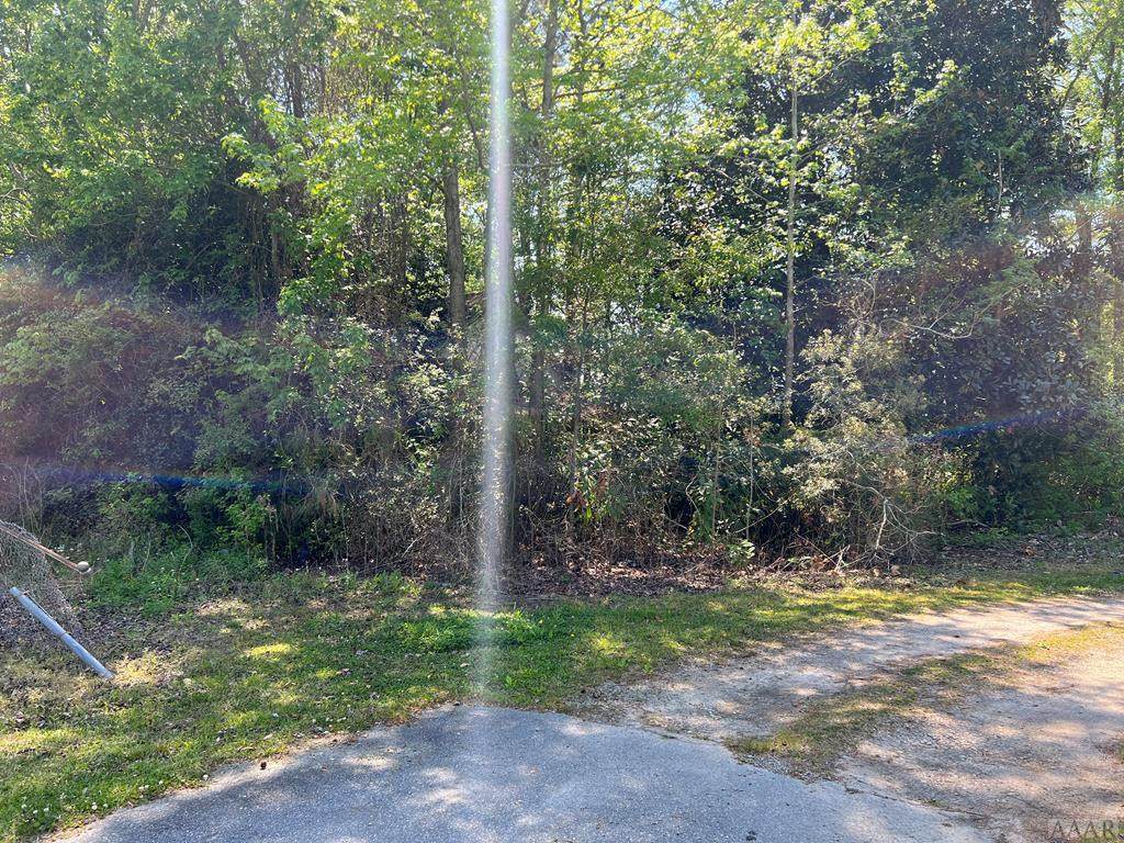 115 Community Drive - Photo 1