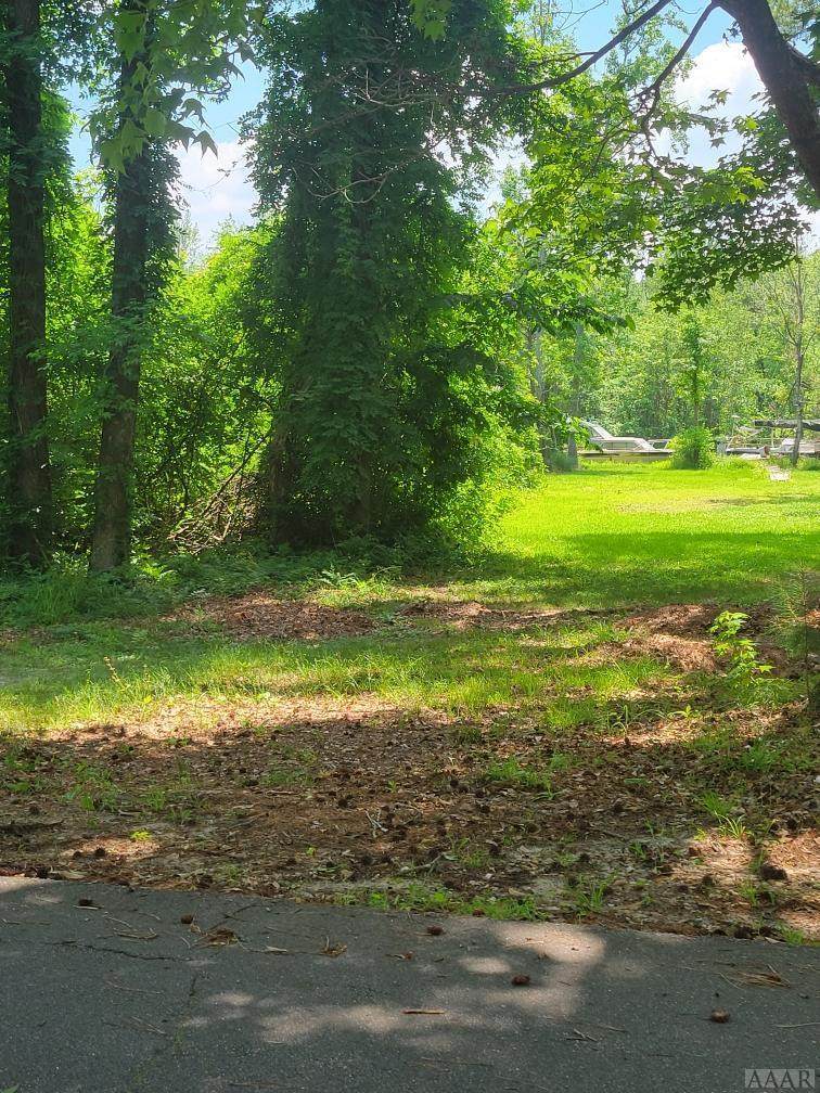 207 Dogwood Trail - Photo 1