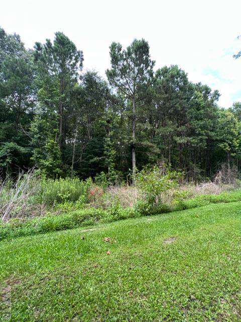 115 Rollings Lane - Photo 1