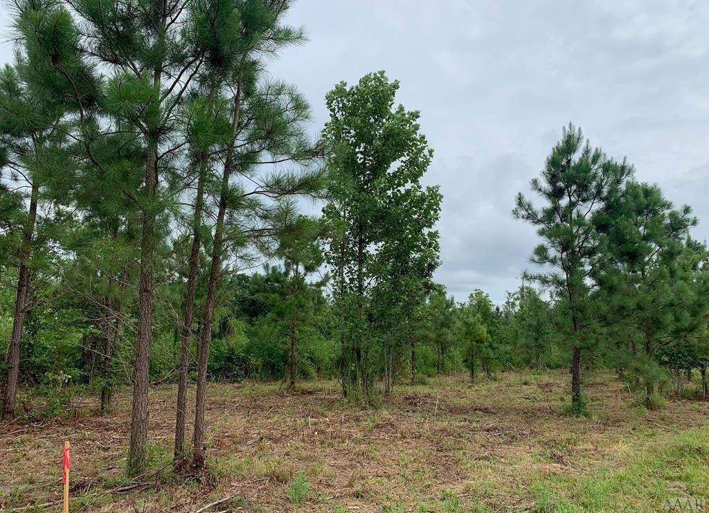 Lot 1 Wren Drive - Photo 1