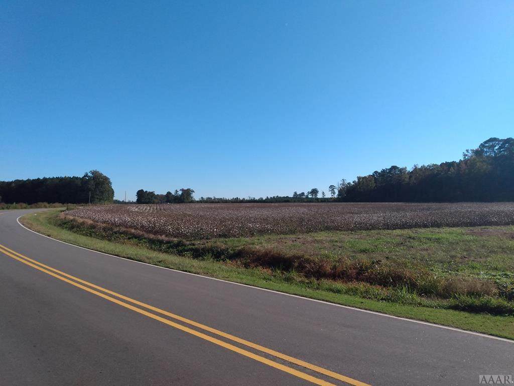 222 Early Road - Photo 1