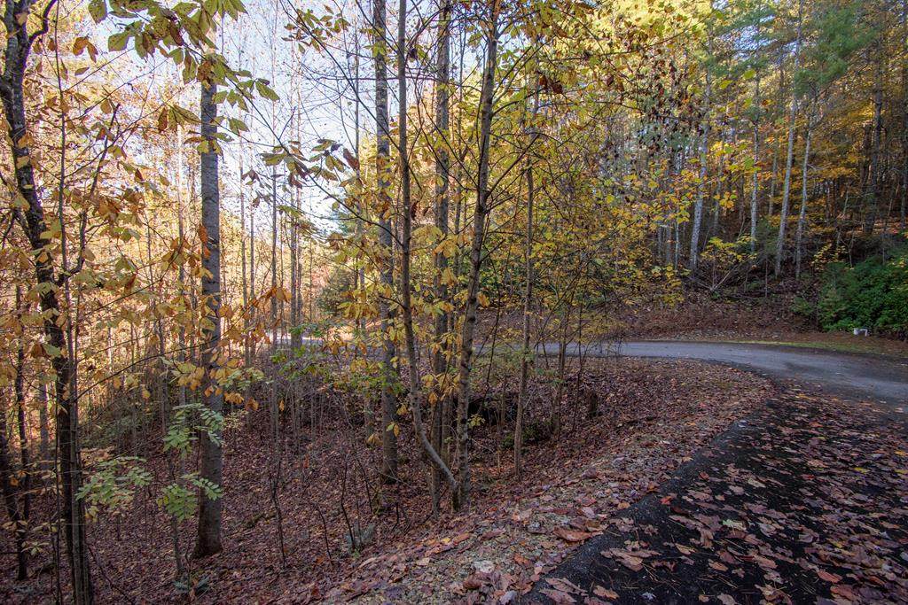 66 Choctaw Ridge Trail - Photo 1