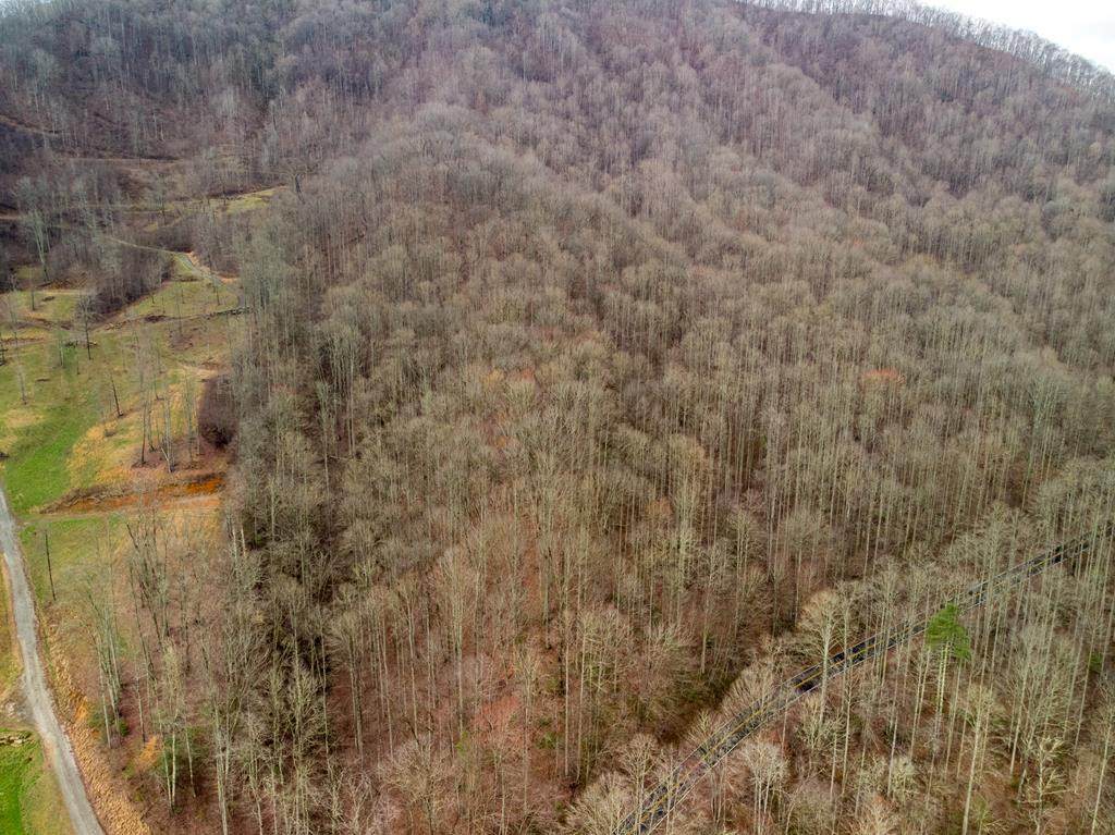 00 Upper Tuskeegee Road - Photo 1