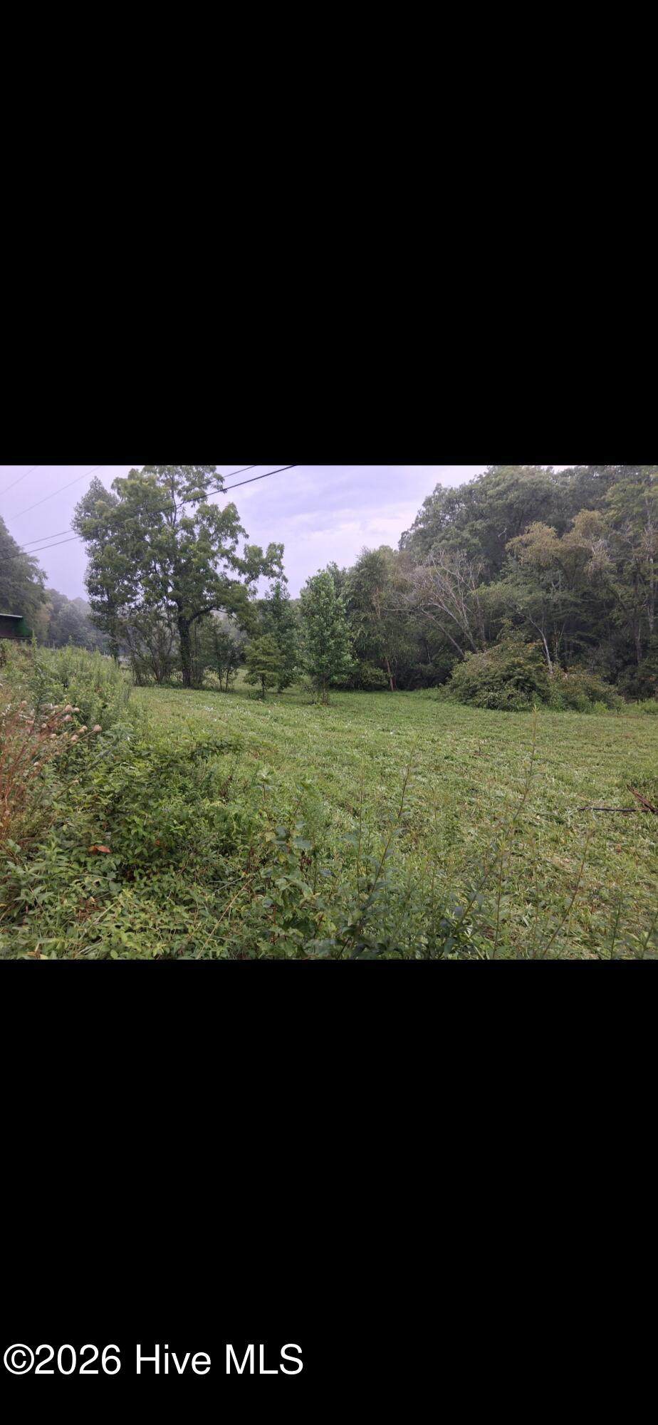 2231 Camp Creek Road - Photo 1