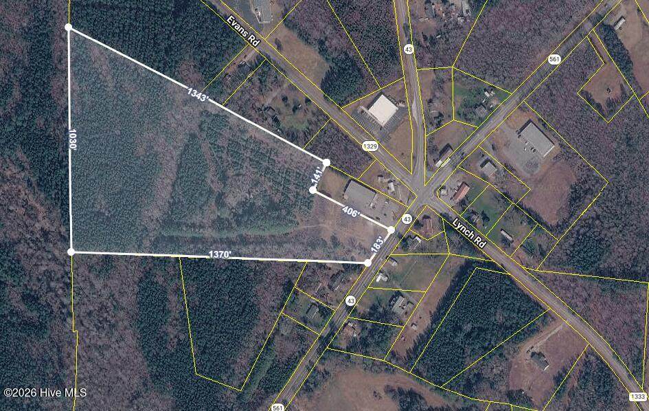 000 Highway 561 - Photo 1