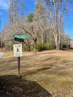 Lot 2 Morris Creek Road - Photo 1