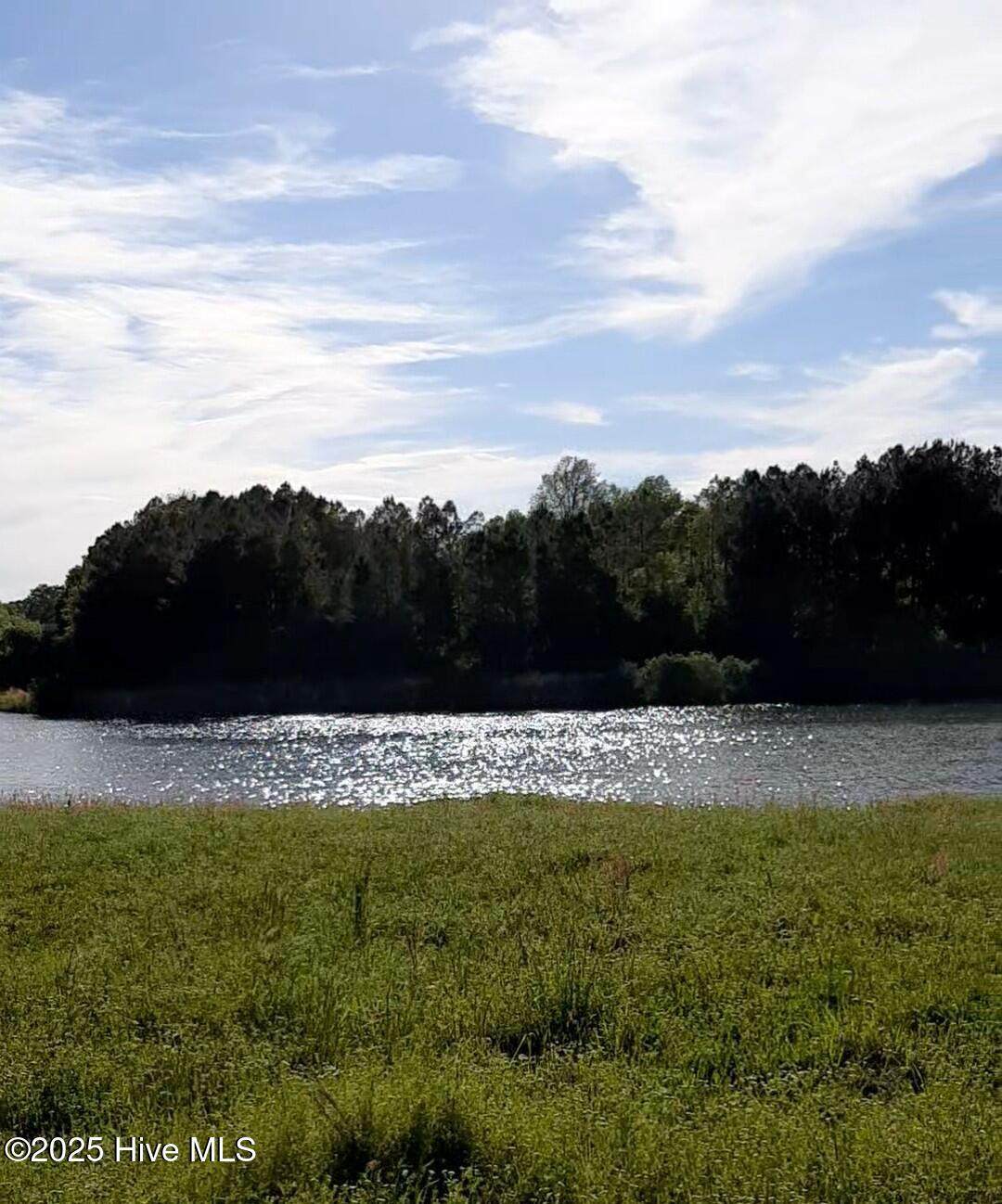 134 Sycamore Lakes Drive - Photo 1