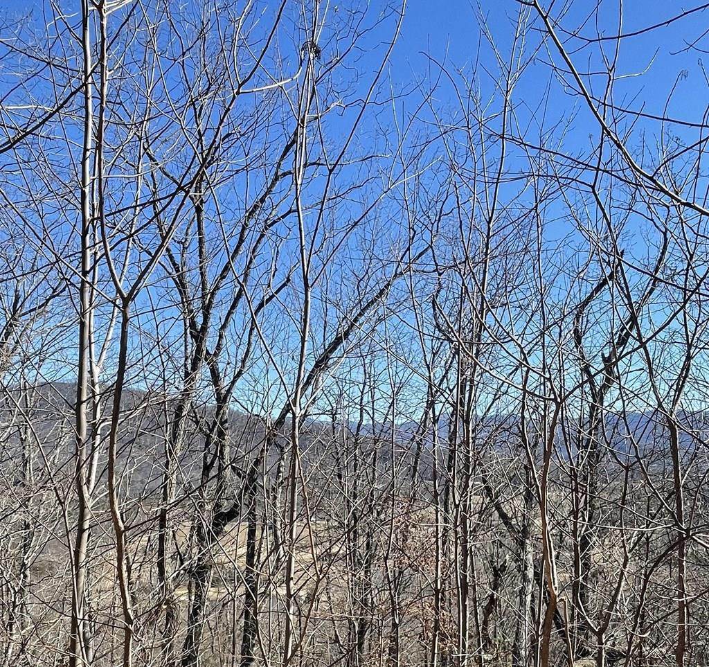 60 & 61J Mountain Harbour - Photo 1