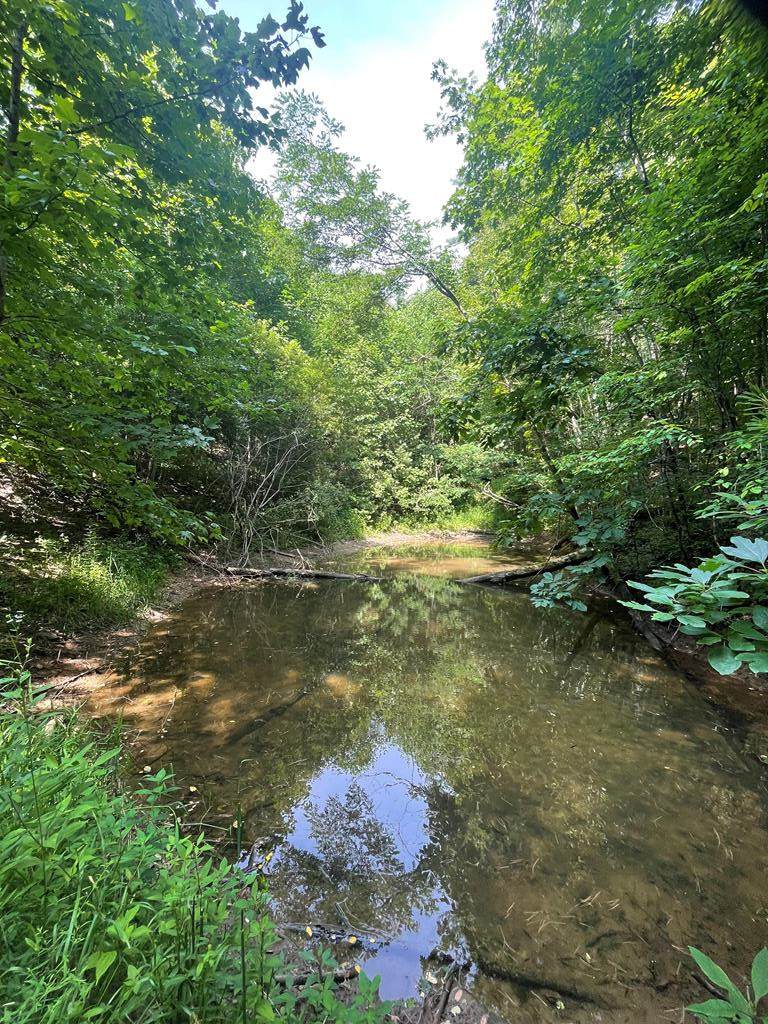 00 Hidden Lakes Road - Photo 1