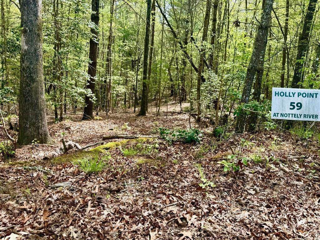 27 Ac Rainy Farm Road - Photo 1