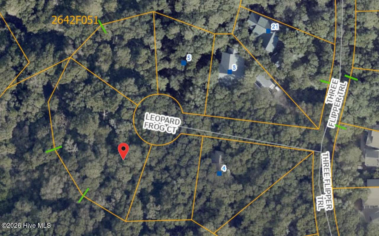 8 Leopard Frog Court - Photo 1