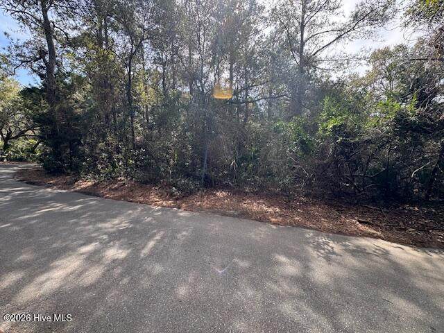 4 Dowitcher Trail - Photo 1