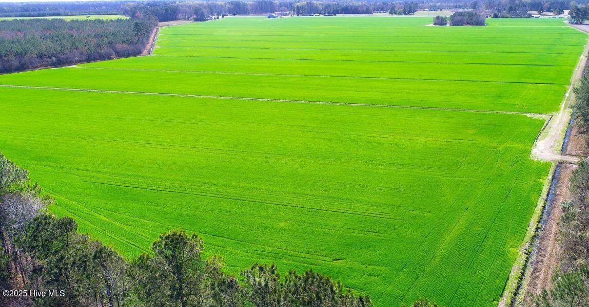 0 Nc 171 Hwy - Photo 1