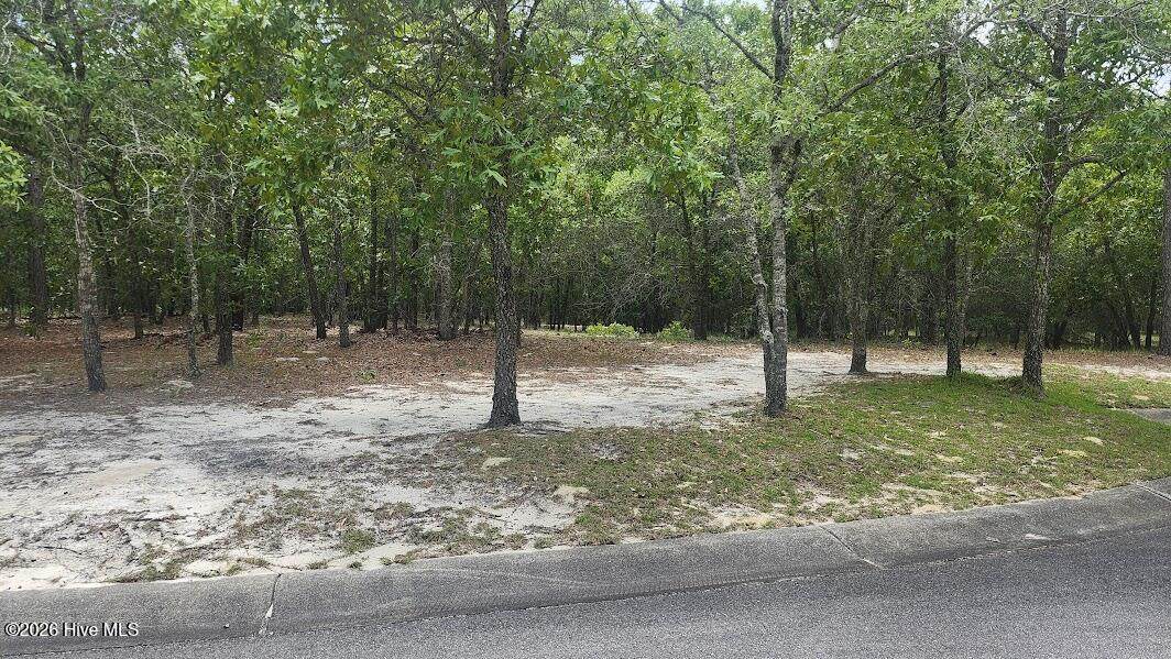 2941 Serrano Trail - Photo 1