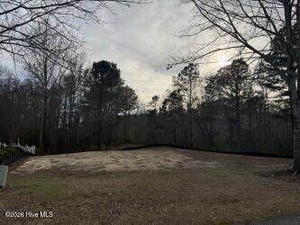 313 Megan Loop - Photo 1