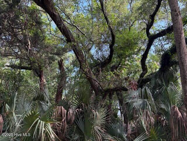 207 Muscadine Wynd - Photo 1