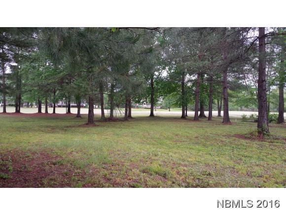 111 Sursee Court - Photo 1