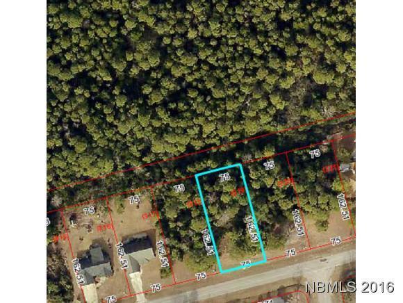 2202 Caracara Drive, New Bern, NC 28560 (MLS #90103821) :: Century 21 Sweyer & Associates