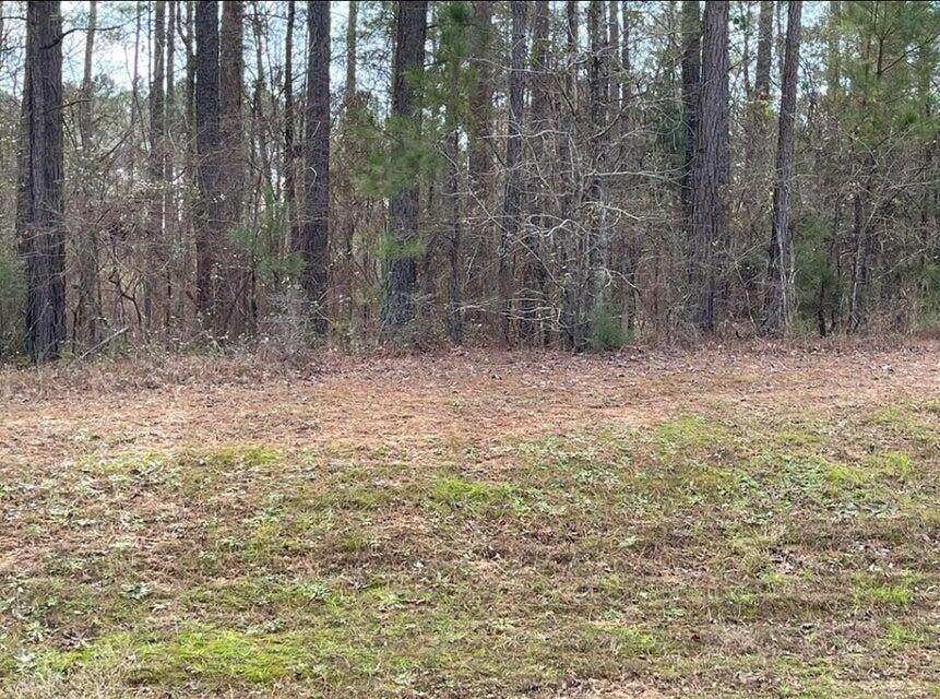 N-63 Eutaw Springs Trail - Photo 1