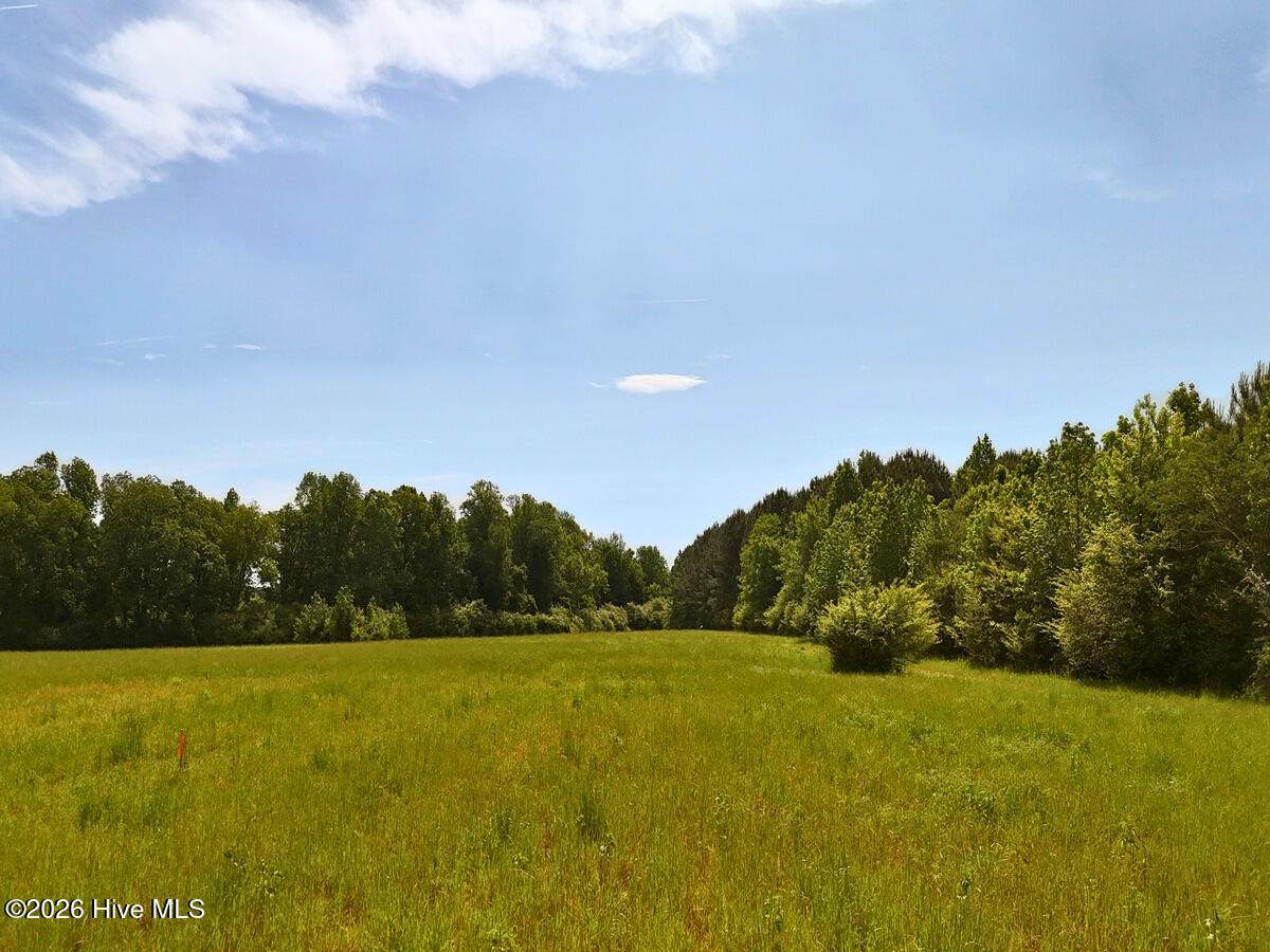 0 Old Chinquapin Road - Photo 1