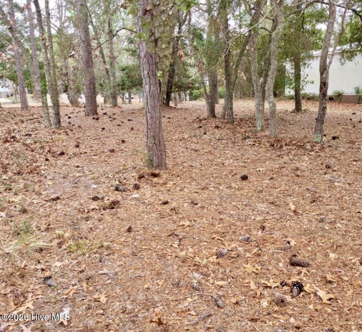 3317 Marlin Drive - Photo 1
