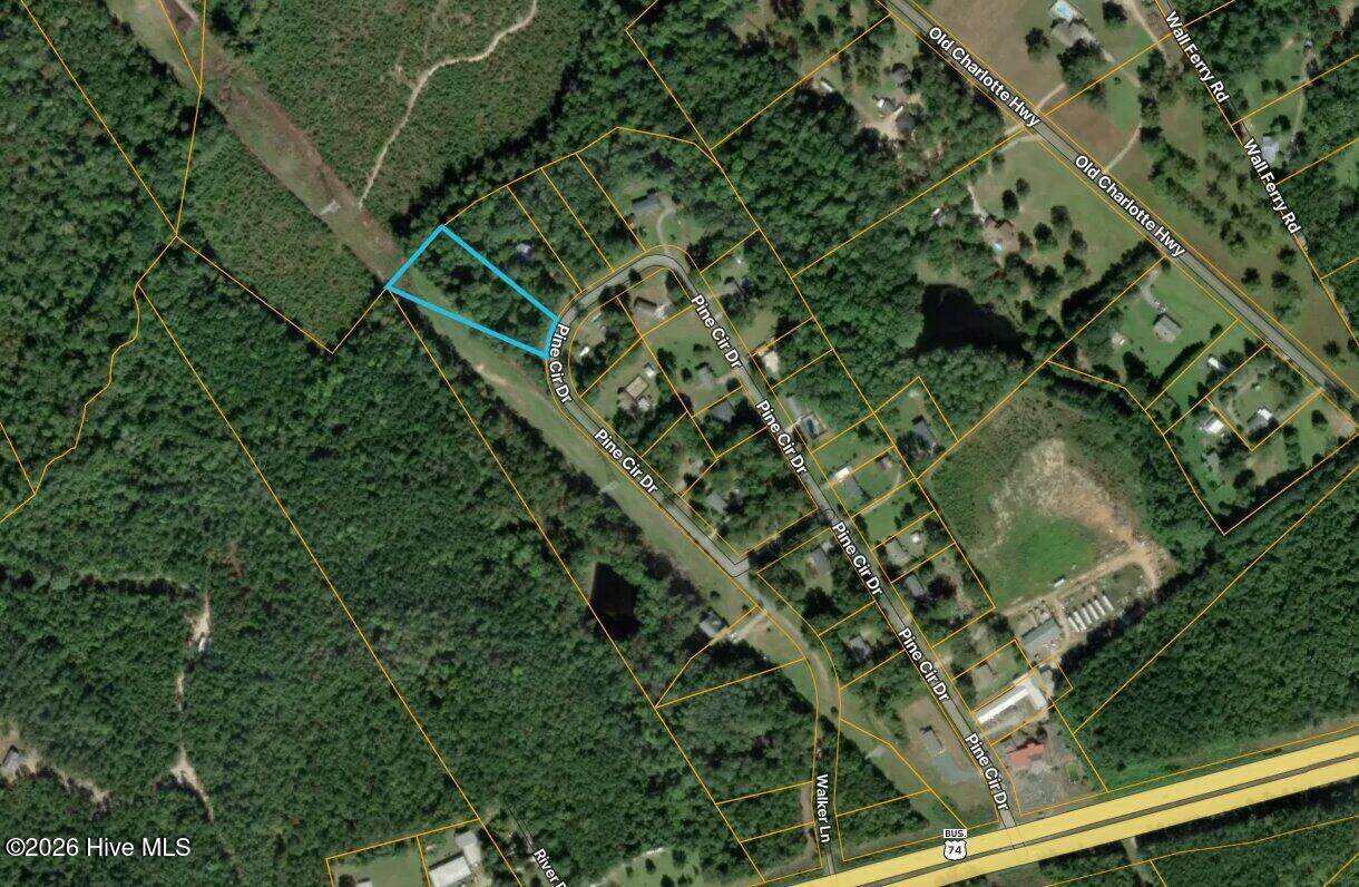 0 Pine Circle Drive - Photo 1