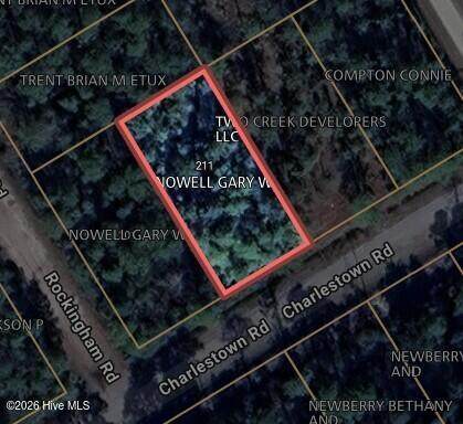 Lot 3 Charlestown Road - Photo 1