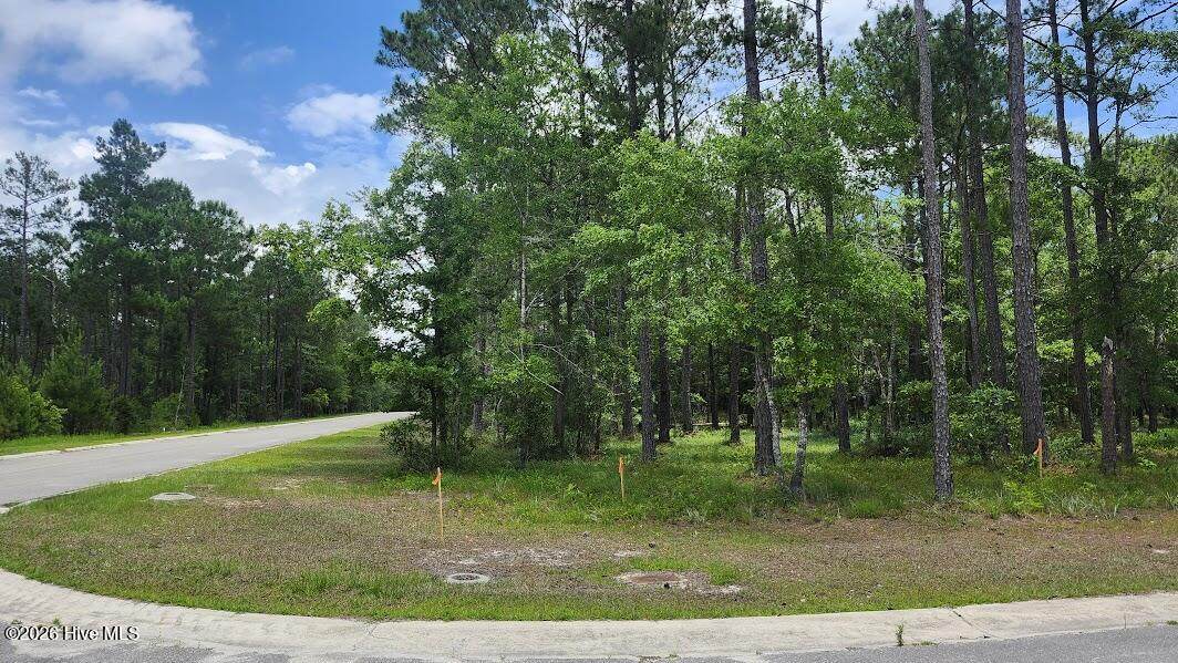 3115 Warrington Way - Photo 1