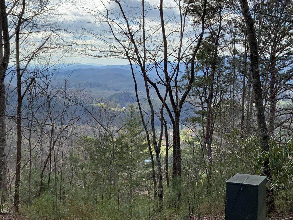 Lot 22 Laramie Heights - Photo 1