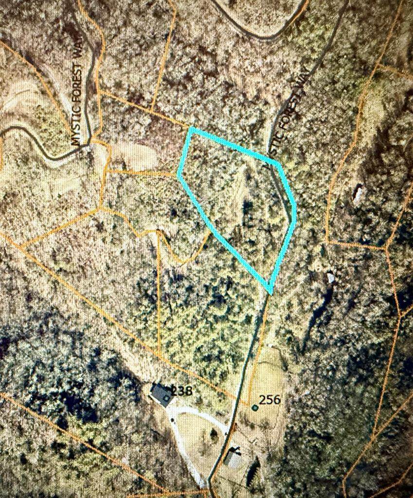 Lot 25 Mystic Forest Way - Photo 1
