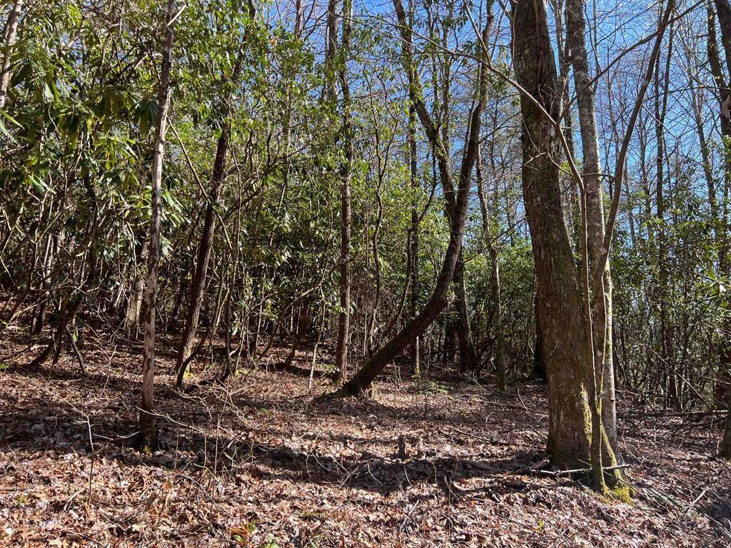 4.90 Wayah Road - Photo 1