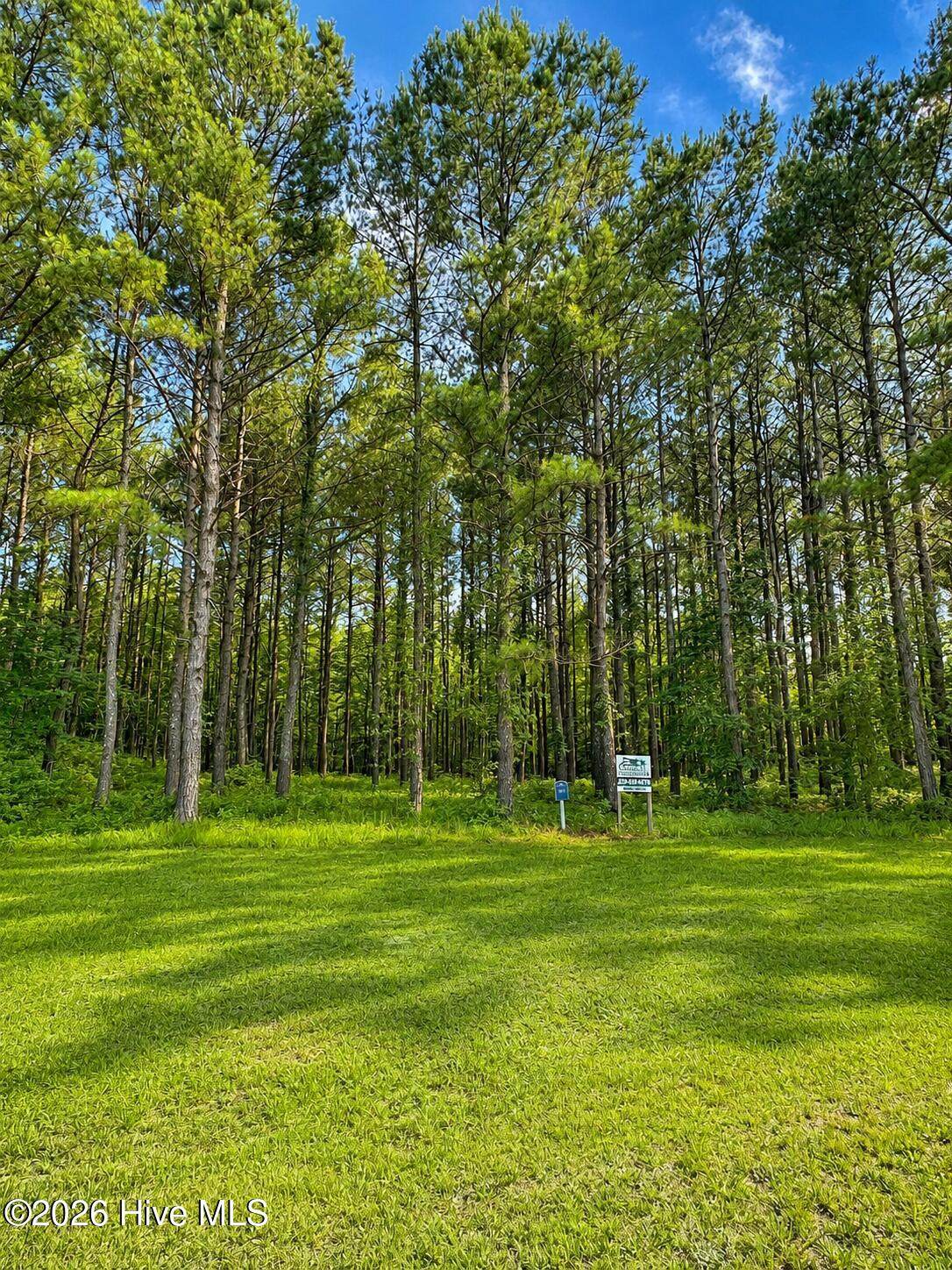117 Colleton Circle - Photo 1