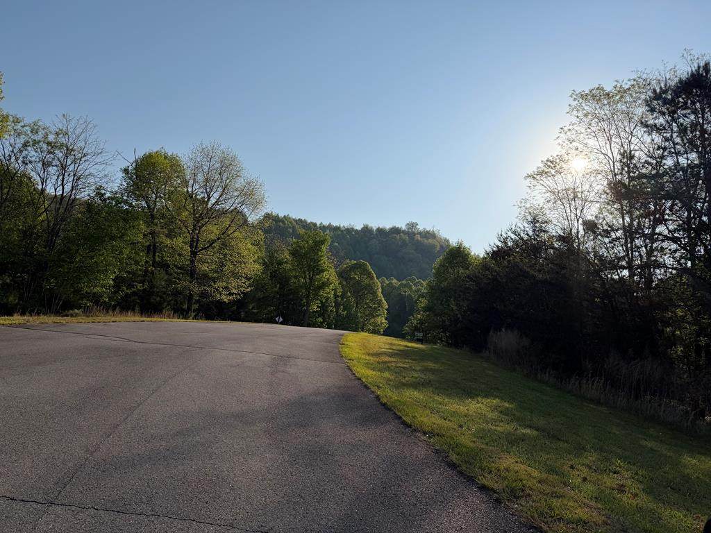Lot #20 Yellow Maple Drive - Photo 1