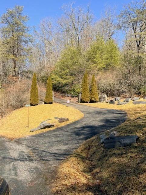 TBD Brandonwood Drive - Photo 1