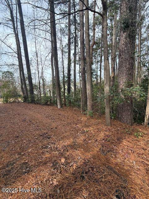 8 North Drive - Photo 1