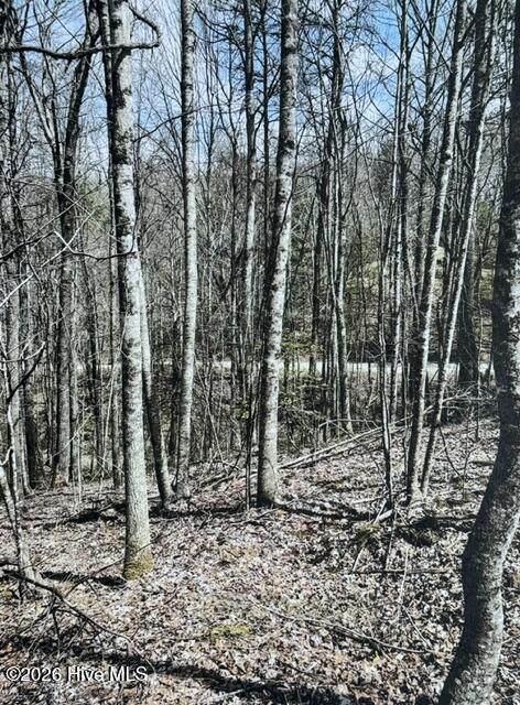 11a 11b Hidden Lakes Road - Photo 1