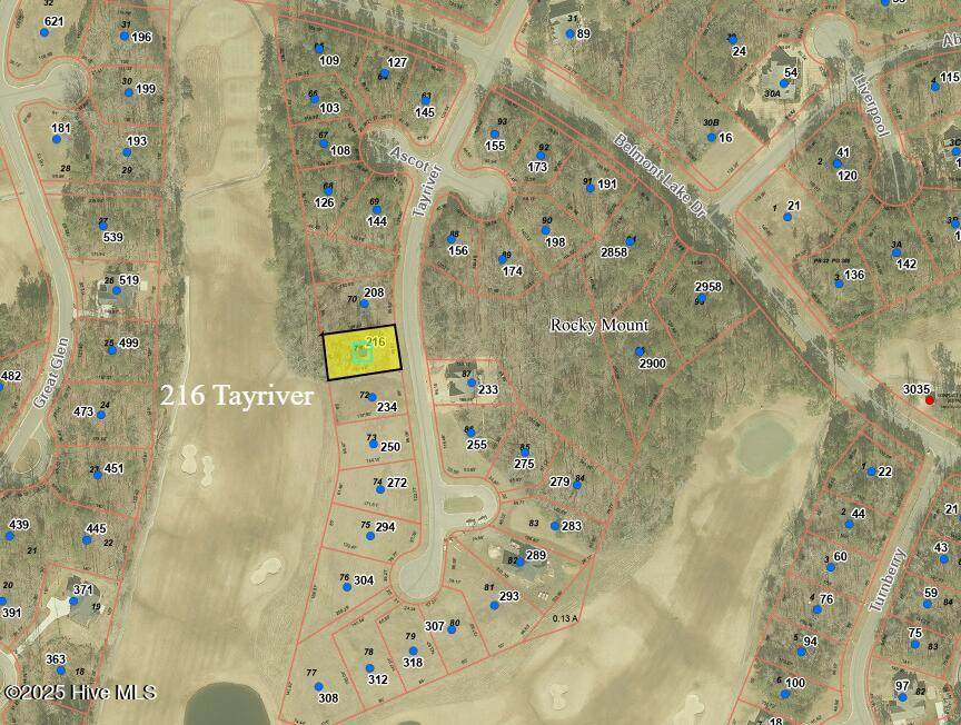 216 Tayriver - Photo 1